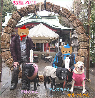 120122_8.jpg