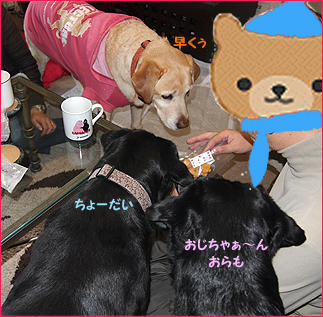 120122_10.jpg