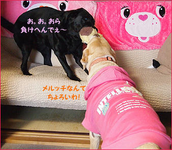 120122_11.jpg