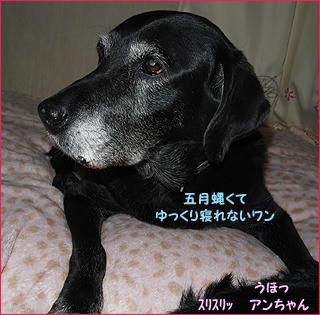 120122_12.jpg