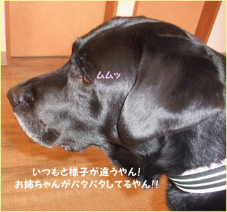 120131_1.jpg