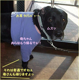 120131_3.jpg