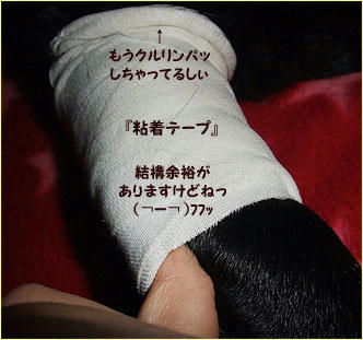 120131_6.jpg