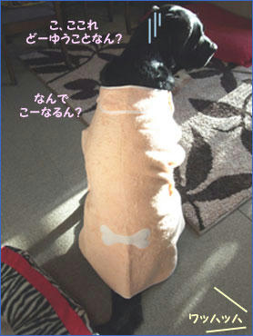 120221_4.jpg