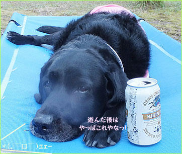 120805_12.jpg