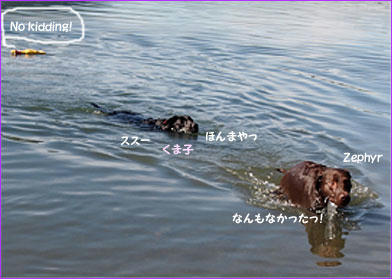 120825_11.jpg