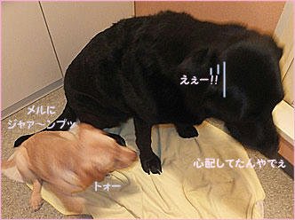 121012_3.jpg