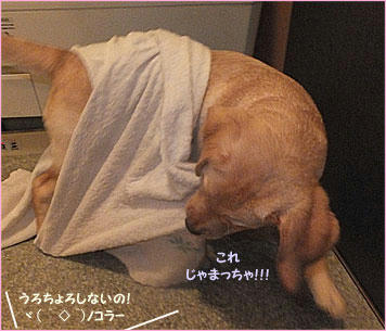 121012_4.jpg