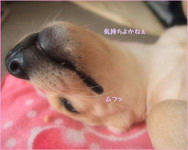 121012_6.jpg