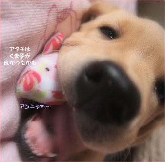 121014_5.jpg