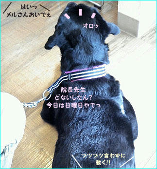 121020_9.jpg