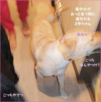 121029_7.jpg