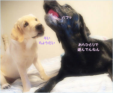121101_2.jpg