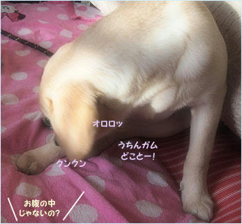 121101_9.jpg