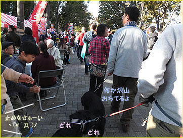 121104_8.jpg