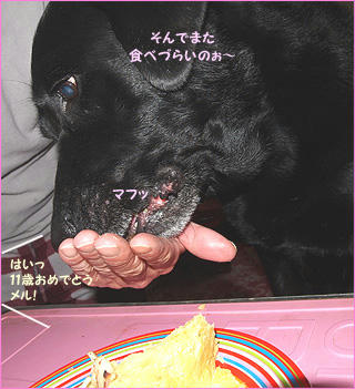 121114_7.jpg