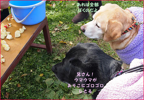 121124_8.jpg