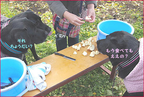 121124_10.jpg