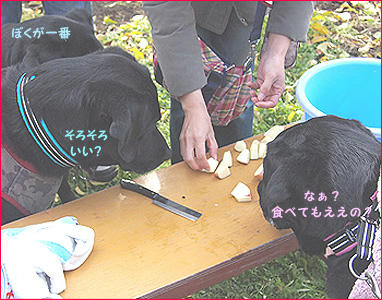 121124_11.jpg