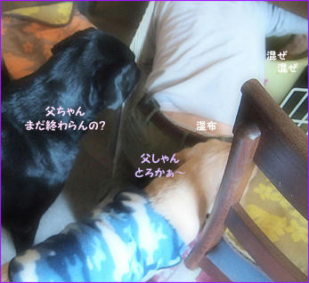 121129_1.jpg