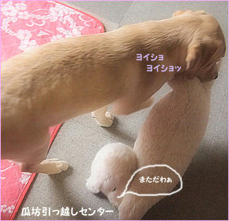 121203_8.jpg
