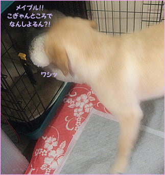 121203_10.jpg