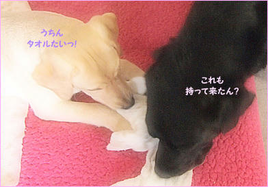 121203_12.jpg