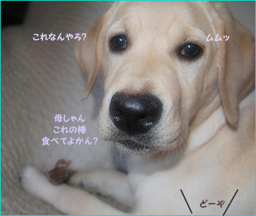 121206_6.jpg