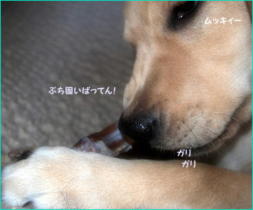 121206_7.jpg