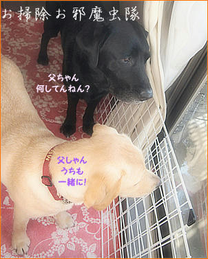 130101_7.jpg