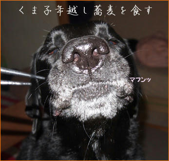 130101_9.jpg