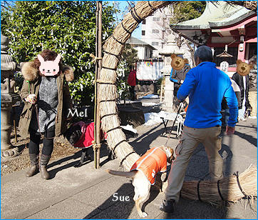 130120_3.jpg