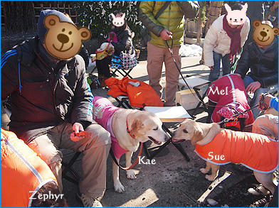 130120_4.jpg