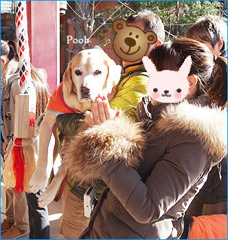130120_8.jpg