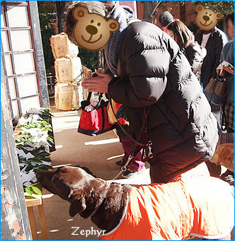 130120_9.jpg