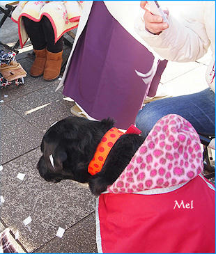 130120_15.jpg