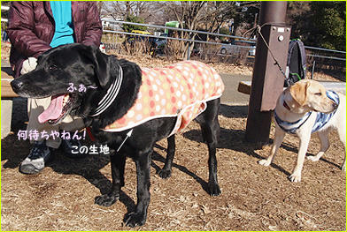 130128_5.jpg