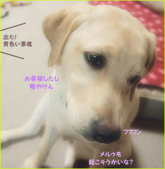 130128_7.jpg