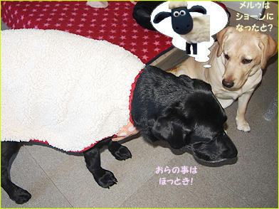 130128_10.jpg