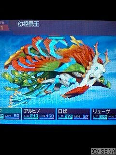 幻視鳥王