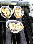 Image024~01.jpg
