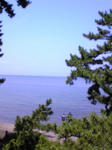 Image005~00.jpg