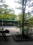 db04c9b3.jpg
