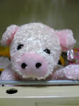 20070827224024.jpg
