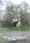 20070821095909.jpg