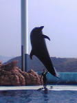 20070821095911.jpg