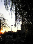 20070810223533.jpg
