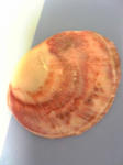 200708072321102.jpg