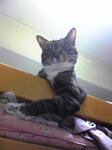 200709061909462.jpg