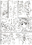 漫画21